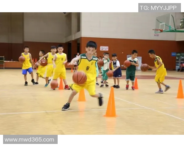 科学篮球意识训练方法的创新探索与实践应用分析