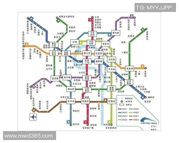 赛后分析：成都排球队与武汉排球队的团队协作与战术对比探讨